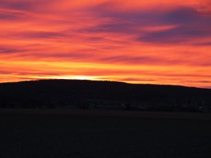 In The Morning Of Life